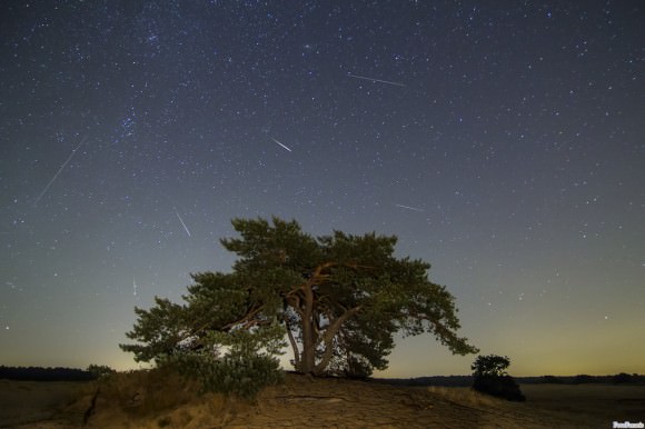 Perseid meteor on August 13, 2013 seen over Kootwijkerzand, at the ‘de Hoge Veluwe’, one of the last dark spots in the Netherlands. This picture was taken with an EOS 60d with a 11-16 2.8 tokina lens. Credit and copyright: Freek vd Driesschen.