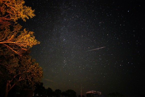 Perseids Meteor 8/11/2013 El Dorado Lake, Kansas. Credit and copyright: Tom Wright. 