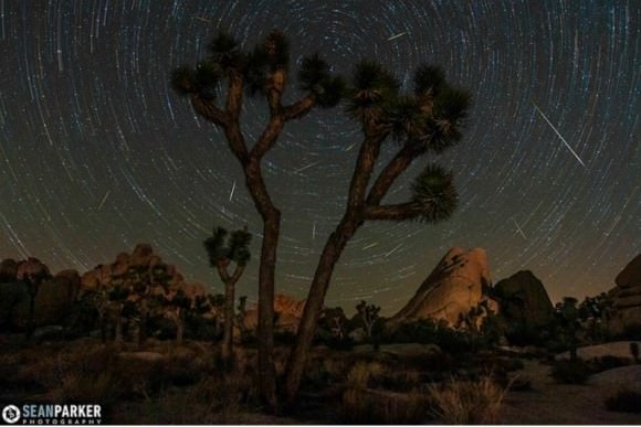 Perseids over Joshua Tree. This is a composite image composed of 180 stills from a static timelapse sequence, aiming towards the  North Star. Taken on August 9, 2013. Credit and copyright: Sean Parker/Sean Parker Photography. 