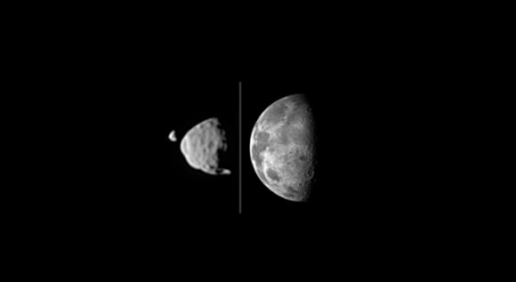 his illustration provides a comparison for how big the moons of Mars appear to be, as seen from the surface of Mars, in relation to the size that Earth's moon appears to be when seen from the surface of Earth. Earth's moon actually has a diameter more than 100 times greater than the larger Martian moon, Phobos. However, the Martian moons orbit much closer to their planet than the distance between Earth and Earth's moon. Credit: NASA/JPL-Caltech/Malin Space Science Systems/Texas A&M Univ.