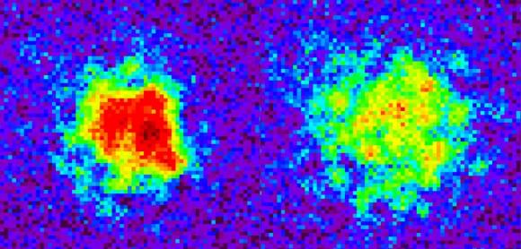 Плотность атомов слева (начало эксперимента) выше, чем через 80 миллисекунд после имитации Большого взрыва. Кредит: Чен-Лунг Хунг