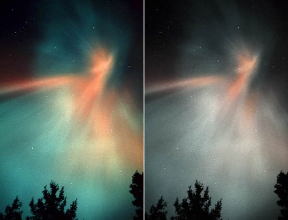 A striking coronal aurora in Feb. 1999 photographed on film. The red in this aurora was obvious to the naked eye but appeared more like the Photoshopped version at right. Credit: Bob King