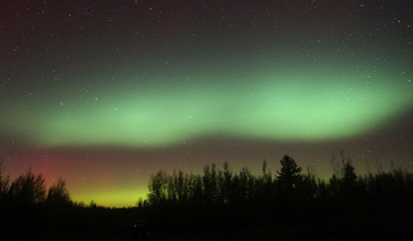 A thick wall of green aurora surges upward in the northern sky headed for the zenith. Credit: Bob King