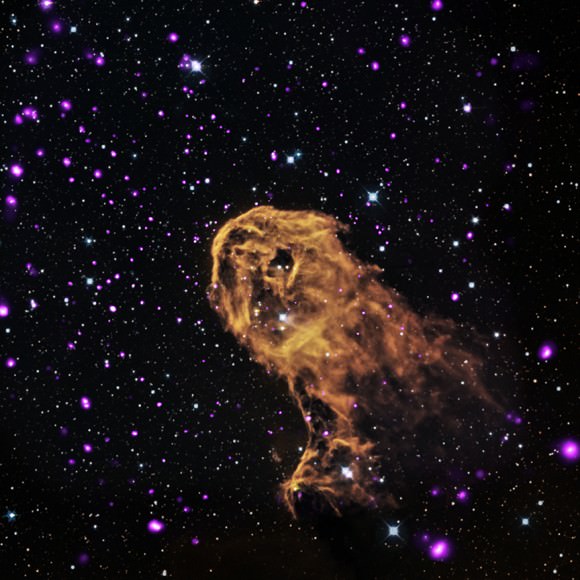 The Elephant Trunk Nebula (IC 1396A) in X-ray, optical and infrared light. Astronomers believe they are seeing winds from large, young stars hitting cooler gas around it, possibly triggering new starbirth. X-ray data from Chandra is in purple, with optical data (red, green and blue) and infrared (orange and cyan). Credit: X-ray: NASA/CXC/PSU/Getman et al, Optical: DSS, Infrared: NASA/JPL-Caltech