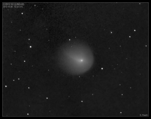 Comet 2012 1X (LINEAR) on October 28, 2013 following its recent outburst. Obtained under bright twilight, low altitude and moonlight! Credit and copyright: Damian Peach. 