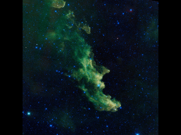The Witch Head nebula is estimated to be hundreds of light-years away in the constellation of Orion. This image was taken by the WISE spacecraft. Credit: NASA.