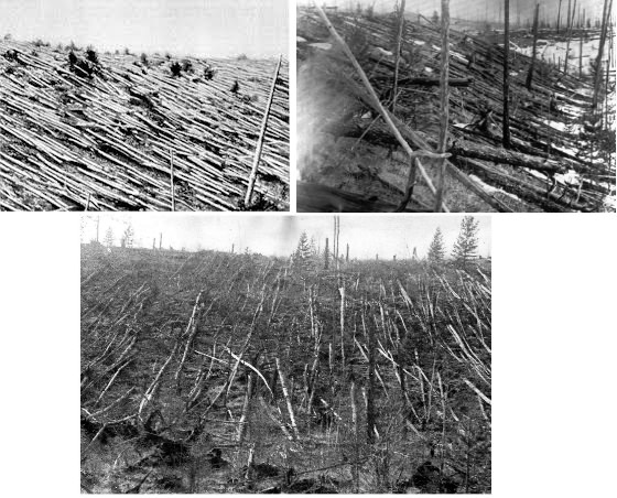 In 1908 the Tunguska impactor toppled millions of trees in a rather remote part of Siberia.  The new study by Mainzer and coauthors aimed to better characterize the population of Tunguska-sized asteroids lurking in the vicinity of the Earth.