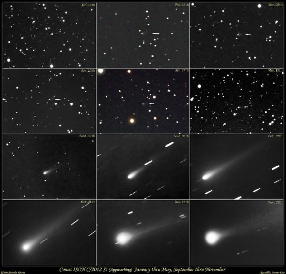 A montage of images of Comet ISON, taken from January-May and then September to late November. Credit and copyright: Efrain Morales/