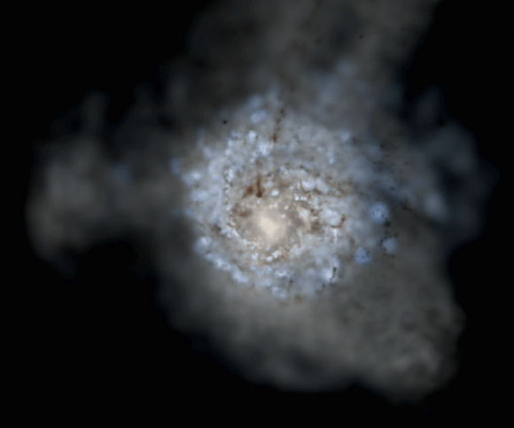 Een gesimuleerd sterrenstelsel toen het heelal 11,7 miljard jaar oud was.  Zorg ervoor dat u de verhuizing bekijkt door op de afbeelding hierboven te klikken.  Afbeelding tegoed: Hopkins et al.  2013