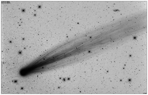 A negative image of Comet ISON on Nov. 15, 2013, 106mm F5.0 with STL-11k. LRGB. L: 5x2mins. RGB: 1x2mins. Credit and copyright: Damian Peach.  