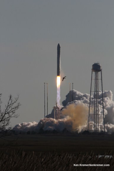 Birds take flight as Antares lifts off for Space Station from Virginia Blastoff of Antares commercial rocket built by Orbital Sciences on Jan. 9, 2014 from Launch Pad 0A at NASA Wallops Flight Facility, VA on a mission for NASA bound for the International Space Station and loaded with science experiments. Credit: Ken Kremer – kenkremer