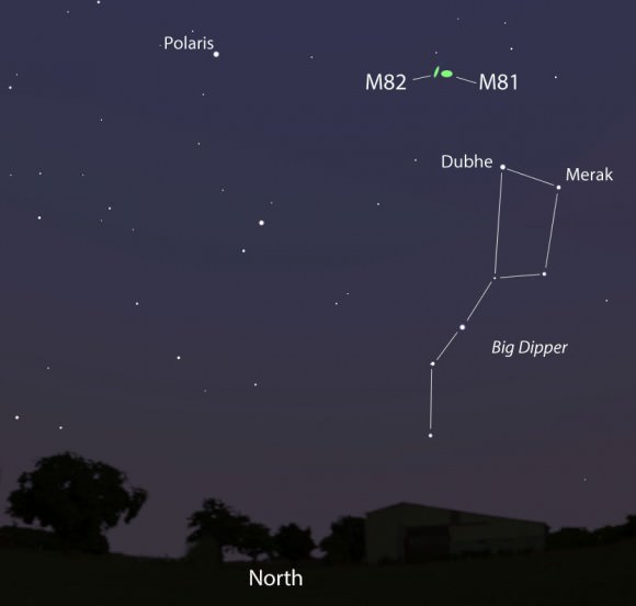 This map shows the sky facing north-northeast at 8 p.m. local time in late January. The supernova is located about a fist above the Dipper Bowl in M82. Right next store is the equally bright M81 galaxy. It's easy to tell them apart. M81 is round with a bright core compared the streak-like appearance of M82. Stellarium 