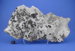 One of the meteorites offered at Aerolite.org (© Geoff Notkin)