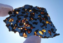 A sample of a beautiful, partially-translucent pallasite meteorite (© Geoff Notkin)