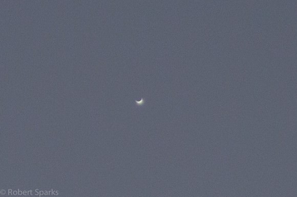 Crescent Venus on Dec. 31, 2013, seen from Arizona. Credit and copyright: Robert Sparks.  