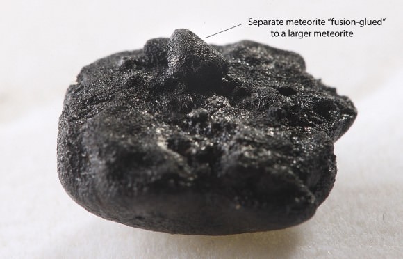 OK, I saved the weirdest for last - a smaller Chelyabinsk meteorite appears to have followed closely enough behind the larger for there liquid fusion crusts to have welded them together. Just my speculation. Credit: Bob King
