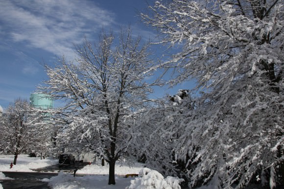 Recent ice and snow storms caused hundreds of thousands to lose power and heat in the Northeast. Credit: Ken Kremer