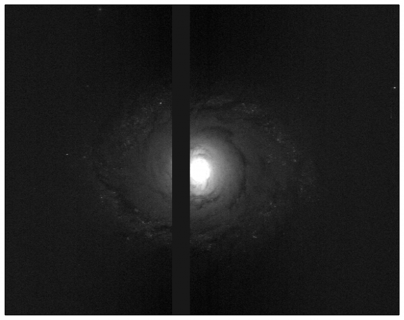 A calibration image of M94 taken by Gaia, a Milky Way-mapping telescope, in early 2014. The gap is due to the image appearing on two separate CCDs. Credit: ESA/DPAC/Airbus DS