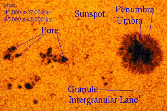 Sunspots are made of a dark umbra and lighter penumbra. Very tiny spots with no penumbrae are called pores. A close up of the sun's photosphere shows a finely granulated texture. Granules are cells of hot gas about the size of Texas that rise from below, cool and sink. Each lasts from 8 to 20 minutes. Credit: NASA