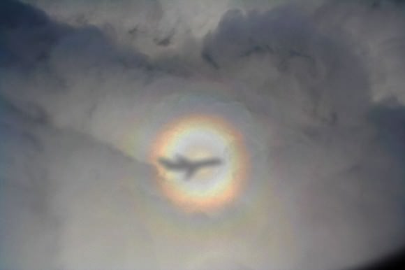 Glory with aircraft shadow in the center. Via Wikimedia Commons. 