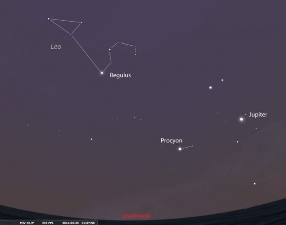 To find Regulus, face southwest shortly before 2 a.m. The star will be about 40 degrees high (four ‘fists’ held at arm’s length against the sky). Brilliant Jupiter shines well to its lower right. You may also notice a ‘coathangar’ or ‘backwards question mark’ shape of stars above Regulus called the Sickle of Leo. Stellarium 