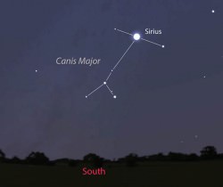 Sirius, nicknamed the Dog Star is the brightest star in Canis Major and brightest in the night sky. This map show Sirius about 1/3 of the way up in the southern sky during late twilight this month. Stellarium