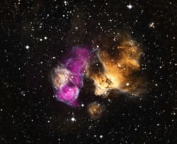 A composite image with Chandra data (purple) showing a "point-like source" beside the remains of a supernova, suggesting a companion star may have survived the explosion. Credit: X-ray: NASA/CXC/SAO/F.Seward et al; Optical: NOAO/CTIO/MCELS, DSS
