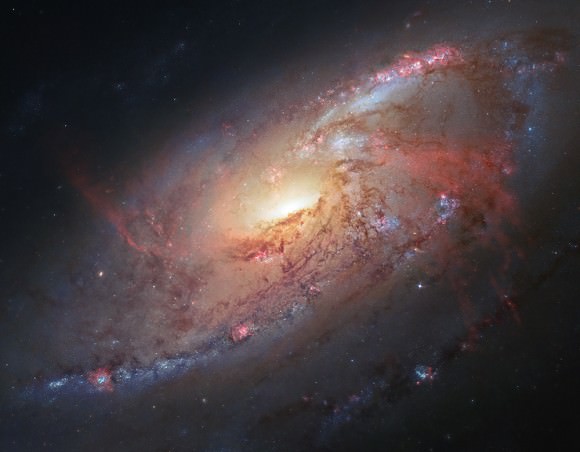 This Hubble Space Telescope image shows how spectacular M106 truly is. Its spiral arms are dotted with dark lanes of dust, young star clusters rich with hot, blue stars and tufts of pink nebulosity swaddling newborn stars. The galaxy is the 106th entry in the 18th century French astronomer Charles Messier's famous catalog. Credit: NASA / ESA 
