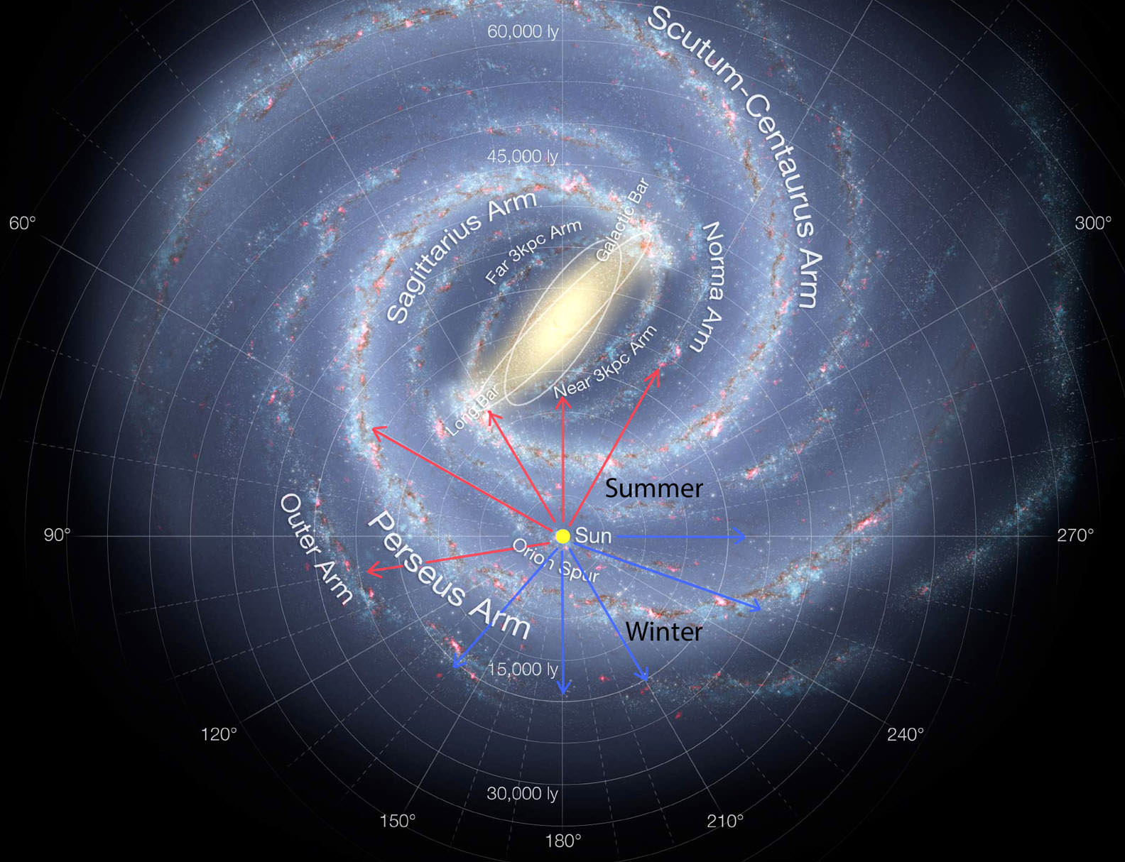 Viewed from above, we can now see that our gaze takes across the Perseus Arm (toward the constellation Cygnus), parts of the Sagittarius and Scutum-Centaurus arms (toward the constellations Scutum, Sagittarius and Ophiuchus) and across the central bar. Interstellar dust obscures much of the center of the galaxy. Credit: NASA et. all with additions by the author.