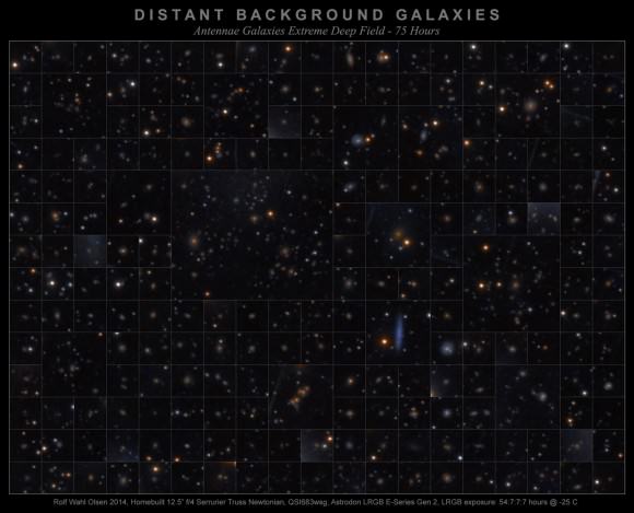 A gallery of distant background galaxies in the same field of view as the Antenna Galaxies. Credit and copyright: Rolf Wahl Olsen. 