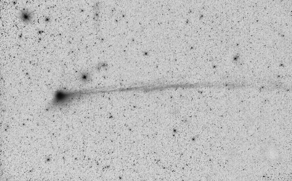 A different perspective on Comet Jacques. This negative image, which accentuates detail in the comet's tails, was shot July 26, 2014 with an 8-inch (20 cm) telescope. Credit: Michael Jaeger