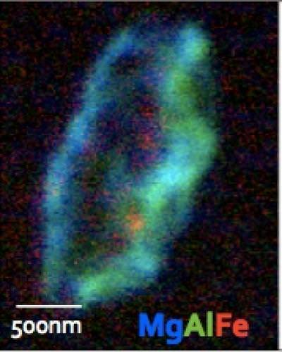 One of the two largest specks found in the Stardust spacecraft that are suspected interstellar dust. This containned olivine, spinel, magnesium and iron. Credit: Westphal et al. 2014, Science/AAAS