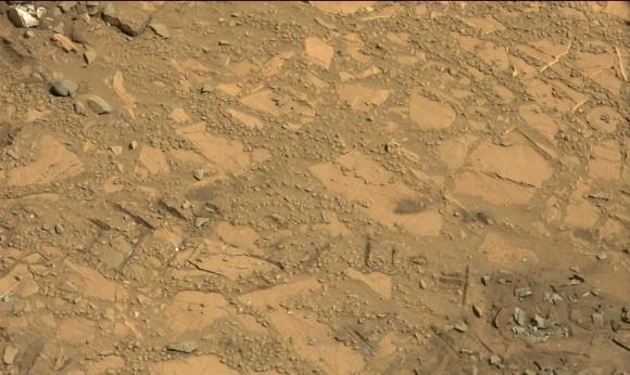 Drilling Candidate Site 'Bonanza King' on Mars.    This image from the Mast Camera (Mastcam) on NASA's Curiosity Mars rover shows a portion of the pale rock outcrop that includes the "Bonanza King" target chosen for evaluation as the mission's fourth rock-drilling site. Raised ridges on the flat rocks -- possible mineral veins -- are visible at upper and middle right. Tread marks from one of Curiosity's wheels are visible in the lower half of the image from Sol 707, Aug. 12, 2014.  Credit: NASA/JPL-Caltech/MSSS