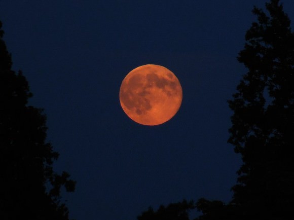 The perigee Moon from Toronto, Canada at 8:35 pm EDT. Credit and copyright: Rick Ellis. 