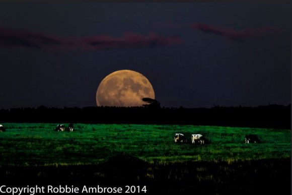 The August 10, 2014 'super' Moon. Credit and copyright: Robbie Ambrose. 