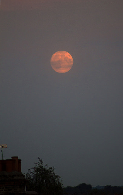 The Harvest Moon rising over South West London on September 8, 2014. Credit and copyright: Roger Hutchinson. 