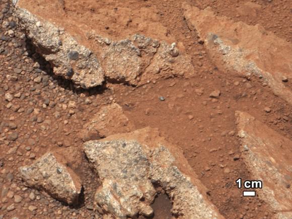 September 27, 2012: A rock outcrop called Link pops out from a Martian surface taken by the 100-millimeter Mast Camera on NASA’s Curiosity Mars rover September 2, 2012. Rounded gravel fragments, or clasts, up to a couple inches (few centimeters) in size are in a matrix of white material. The outcrop characteristics are consistent with a sedimentary conglomerate, or a rock that was formed by the deposition of water and is composed of many smaller rounded rocks cemented together. Scientists enhanced the color in this version to show the Martian scene as it would appear under the lighting conditions we have on Earth, which helps in analyzing the terrain. (NASA/JPL-Caltech/MSSS/Handout/Reuters)