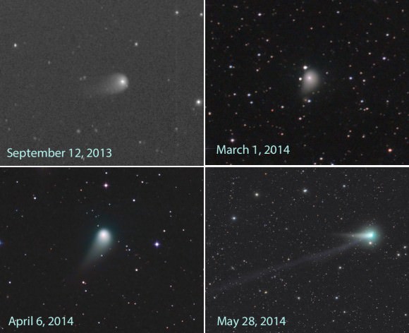 Comet C/2012 K1 PanSTARRS' changing appearance over the past year. Credit upper left clockwise: Carl Hergenrother, Damian Peach, Chris Schur and Rolando Ligustri