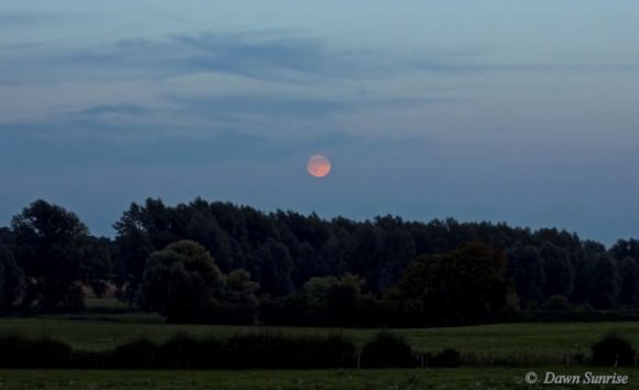 A lovely pale pink moonrise of the Harvest Moon on September 8, 2014. Credit and copyright: DawnSunrise.