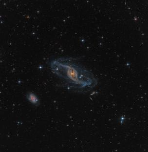NGC 3718 via a robotic scope, Credit and copyright: Mark Hanson, USA
