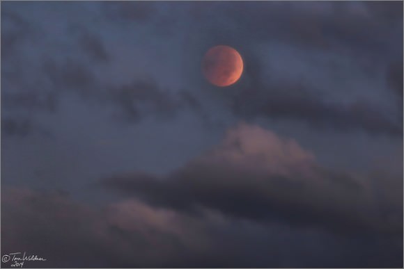 Total Lunar Eclipse through the clouds as seen from Weatherly, PA on October 8, 2014. Credit and copyright: Tom Wildoner.