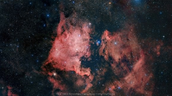 A wide, three-panel mosaic spanning an area approximately 2.5 x 5.5 degrees of the North America Nebula (NGC 7000 or Caldwell 20), in H-Alpha, Hubble Palette and RGB with H-Alpha. Credit and copyright: Terry Hancock. 