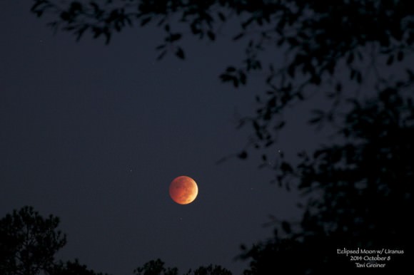 Near-totality eclipsed Moon, in Pisces, with Uranus at left. Delta Psc is that brightest star at upper-right of Moon. Imaged near Calabash, North Carolina. Credit and copyright: Tavi Greiner. 