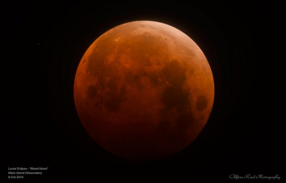 The red 'blood Moon' of the October 8, 2014 lunar eclipse, as seen from the Mare Island Observatory. Credit and copyright: Clifton Reed. 