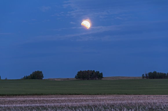 The partial lunar eclipse of June 4, 2012, pre-dawn at moonset, from home in southern Alberta. This is a single exposure with the Canon 60Da and 18-200mm Sigma lens at 115mm and at f/5.6 for 0.4 sec at ISO 160. Copyright: Alan Dyer