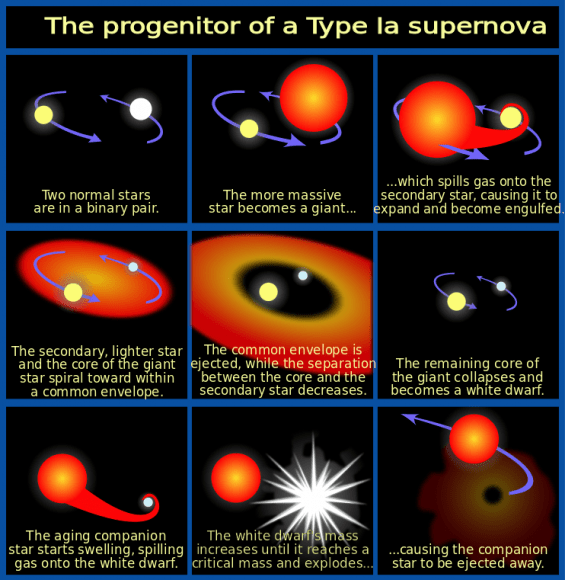 Evolution of a Type Ia supernova. Credit: NASA/ESA/A. Feild
