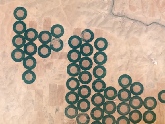 Writes Planet Labs of this image: "Water from reservoirs developed on the Tigris and Euphrates Rivers in the past 25 years enabled the expansion of cropland in the region, including these circular fields in the ?anliurfa Province of southeastern Turkey." Credit: Planet Labs