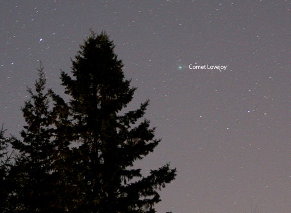 Comet Lovejoy was bright enough to nab in a 15-second time exposure with a 200mm telephoto lens last night. Details: f/2.8 at 13 seconds. Credit: Bob King