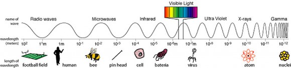 Visible light is a sliver of light's full range of "colors" which span from kilometers-long, low-energy radio waves (left) to short wavelength, energetic gamma rays. It's all light, with each color determined by wavelength. Familiar objects along the bottom reference light wave sizes. Visible light waves are about one-millionth of a meter wide. Credit: NASA