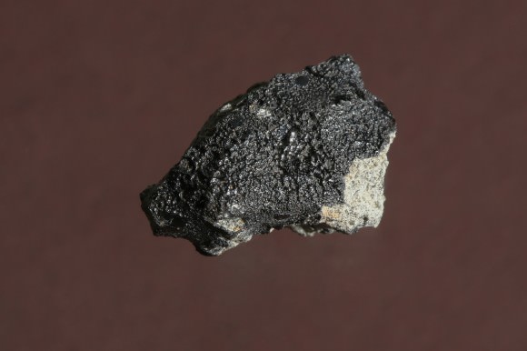 A piece of the Tissint meteorite that came to Earth via Mars. Credit: EPFL/Alain Herzog